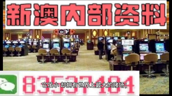 2024新澳精准正版资料,灵活性操作方案_2DM18.302