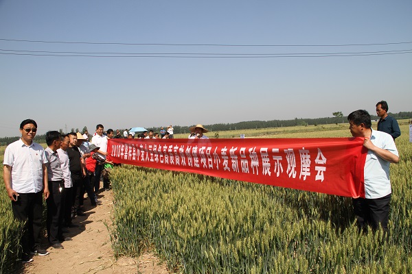 管城回族区农业农村局新项目推动农业现代化，乡村振兴再添新动力