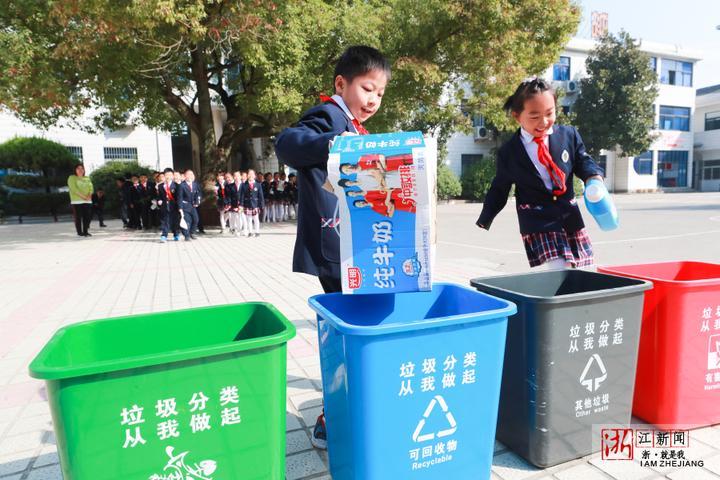 德清县小学最新发展规划，塑造未来教育的蓝图