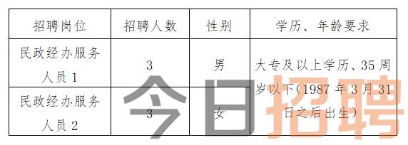 礼泉县民政局最新招聘信息全面解析