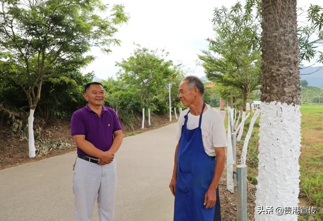 贵港市卫生局最新动态报道