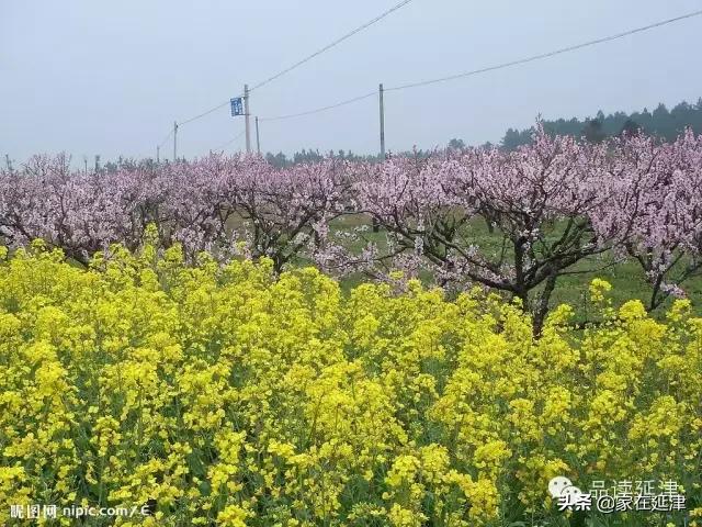 宜村乡交通新动向，迈向现代化交通的坚定步伐